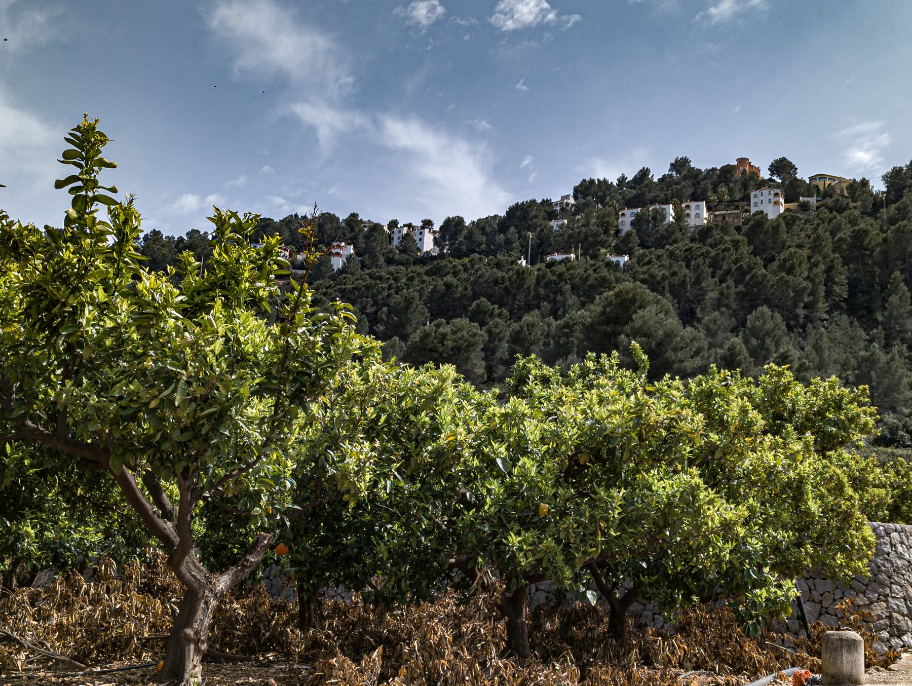 Local hiking Marxuquera